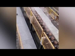 건조 공정 나트륨 실리케이트 오븐 / 고체 나트륨 실리케이트 제조 기계